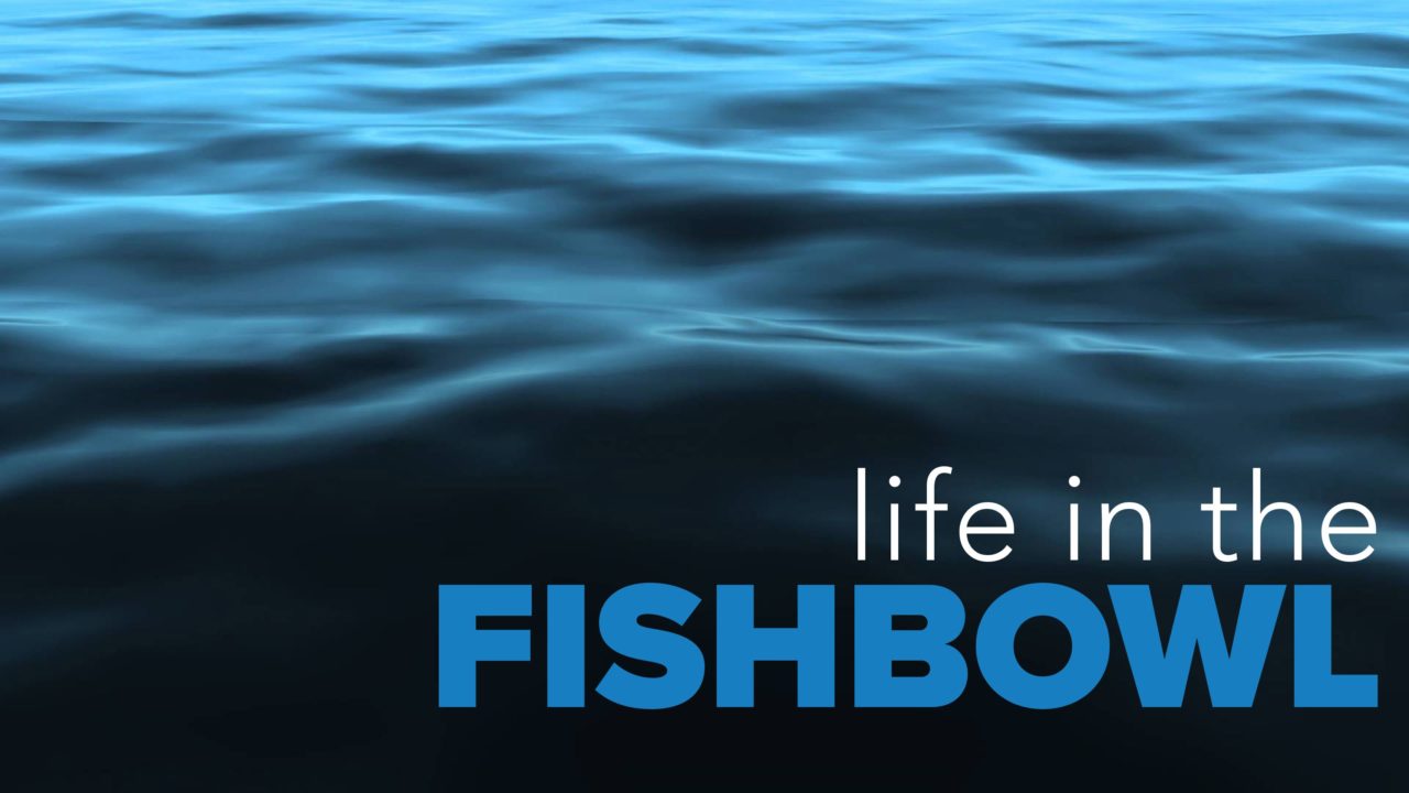 Life In The FishBowl Blog3